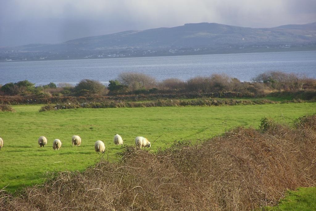 Foleysbarinch