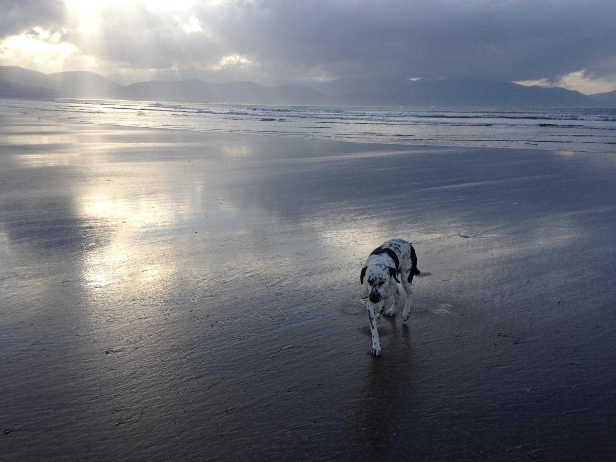 Foleysbarinch 3*